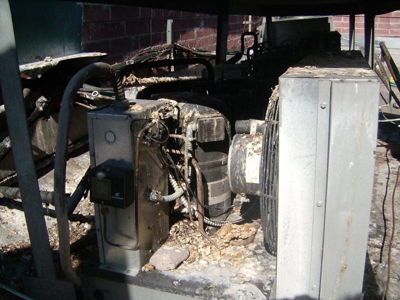 pigeons destroyed this air condition unit.